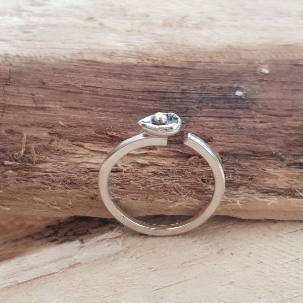 Anillo - Equilibrio - Imagen 4