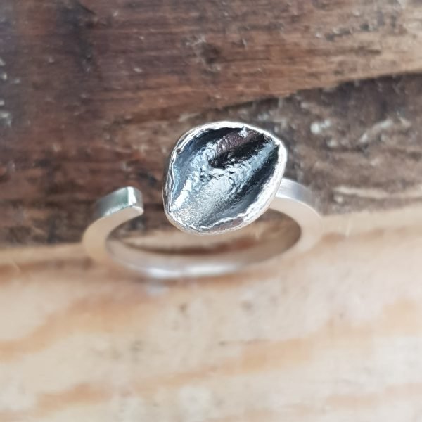 Anillo - Memoria - Imagen 3