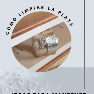 Manual de limpieza y mantenimiento plata.